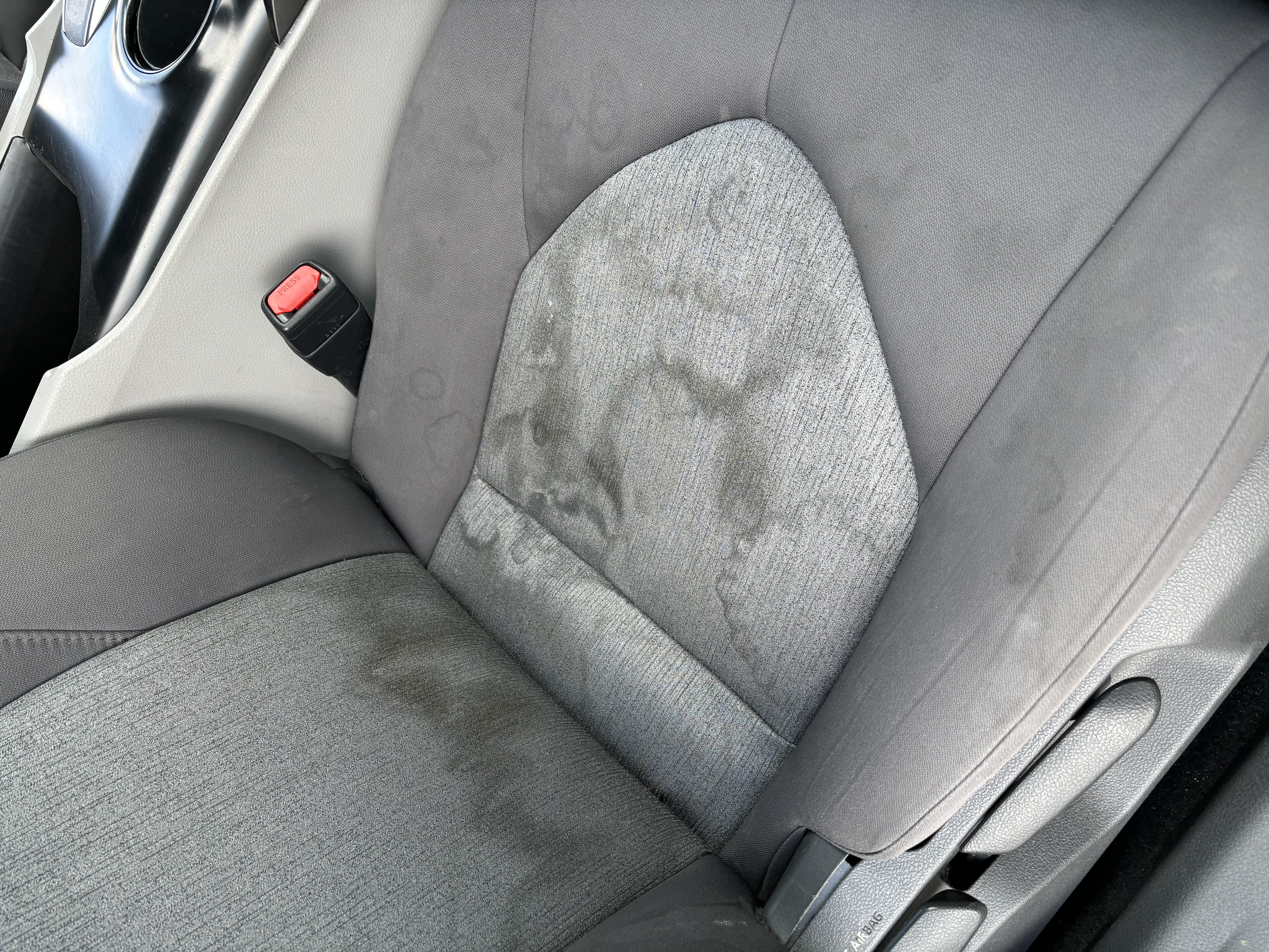 Seats before shampooing